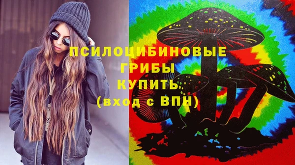 jwh Ельня