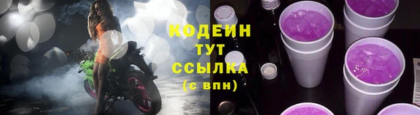 прущие грибы Елабуга