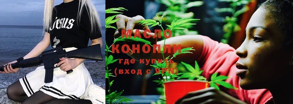 хмурый Дмитриев